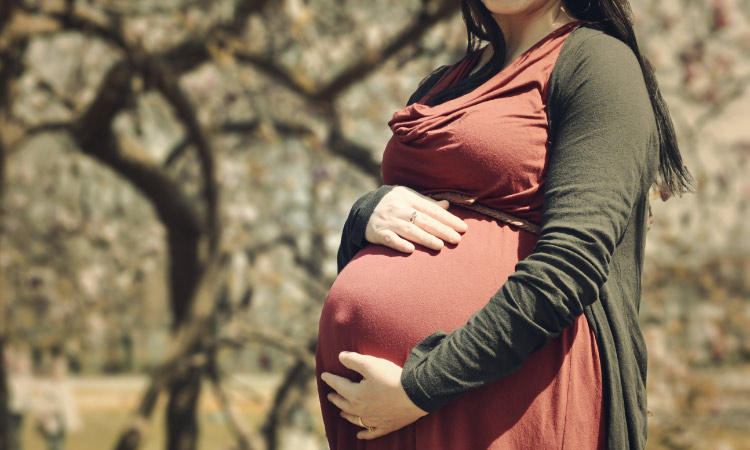 Closeup of the pregnant belly of an expectant mother cupping her big belly with her hands while standing by trees wearing a pink blouse
